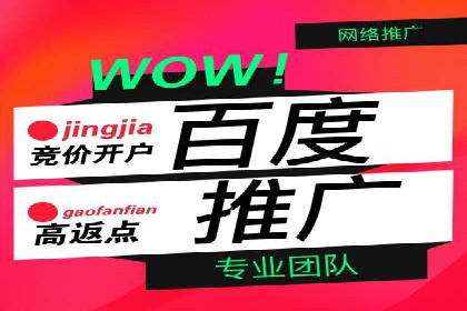 竞价排名与自然排名的对比案例